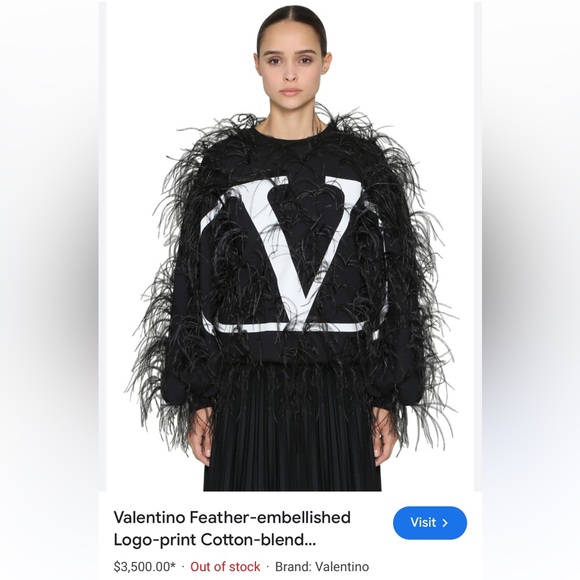 Valentino Garavani ostrich feather hoodie - Picture 9 of 10